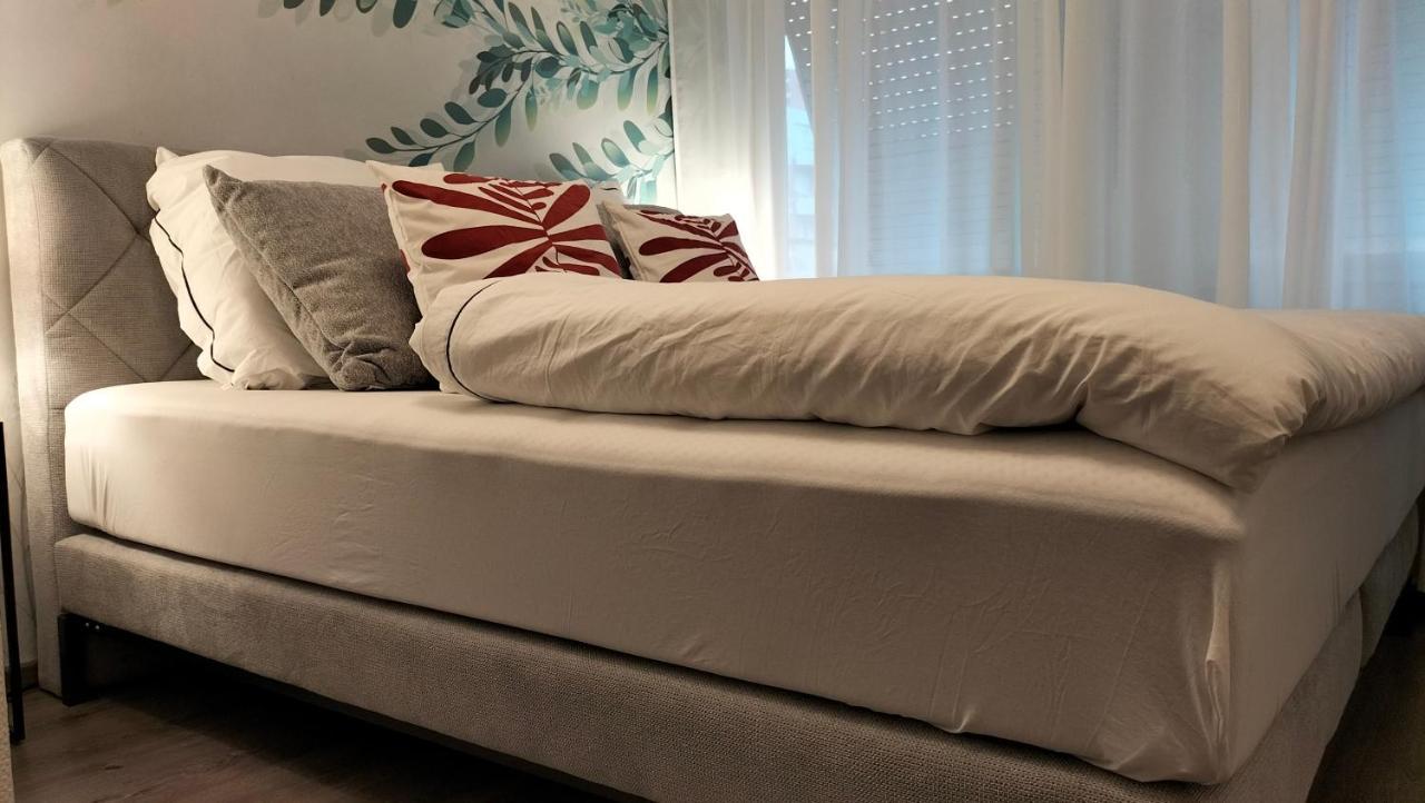 King Bed 4 People Near Basel, Switzerland, Weil Am Rhein, Loerrach, Germ'Any, Near Airport Apartment แซ็ง-ลุยส์ ภายนอก รูปภาพ