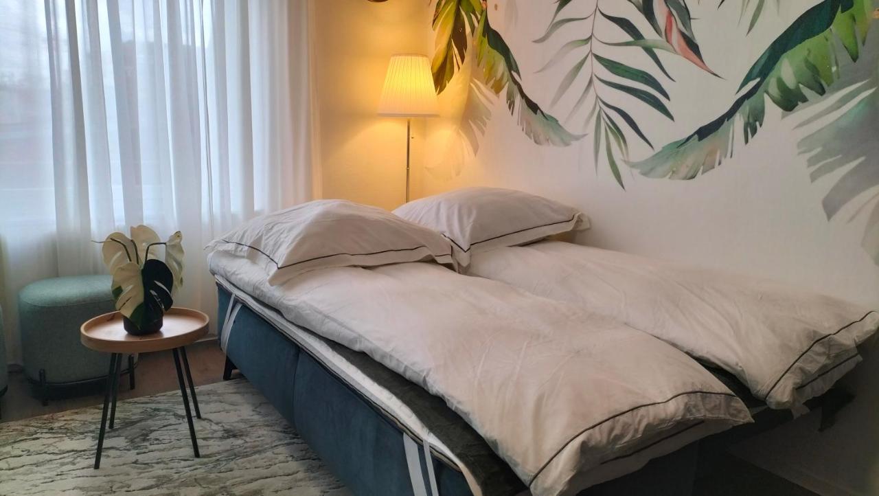 King Bed 4 People Near Basel, Switzerland, Weil Am Rhein, Loerrach, Germ'Any, Near Airport Apartment แซ็ง-ลุยส์ ภายนอก รูปภาพ